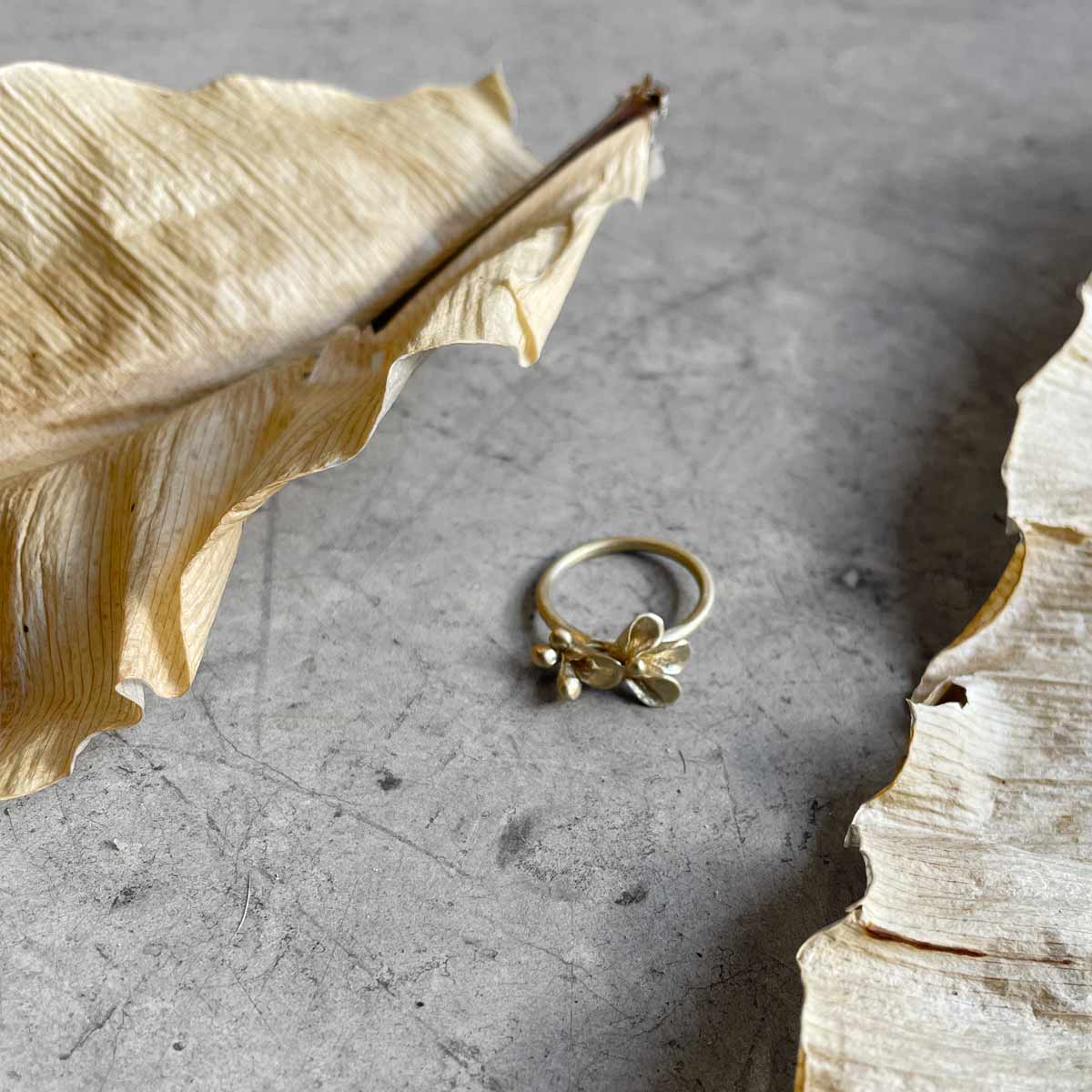 Botanical ring / טבעת בוטנית - studio oh design