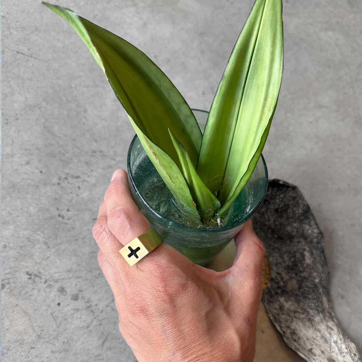 brass plus ring / טבעת פלוס בראס - studio oh design